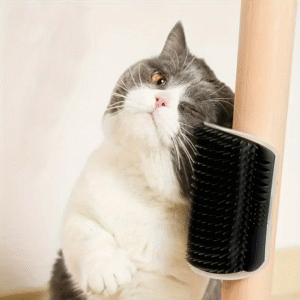 Wall-Mounted Cat Groomer – Self-Grooming Massage Brush for Cats & Small Pets