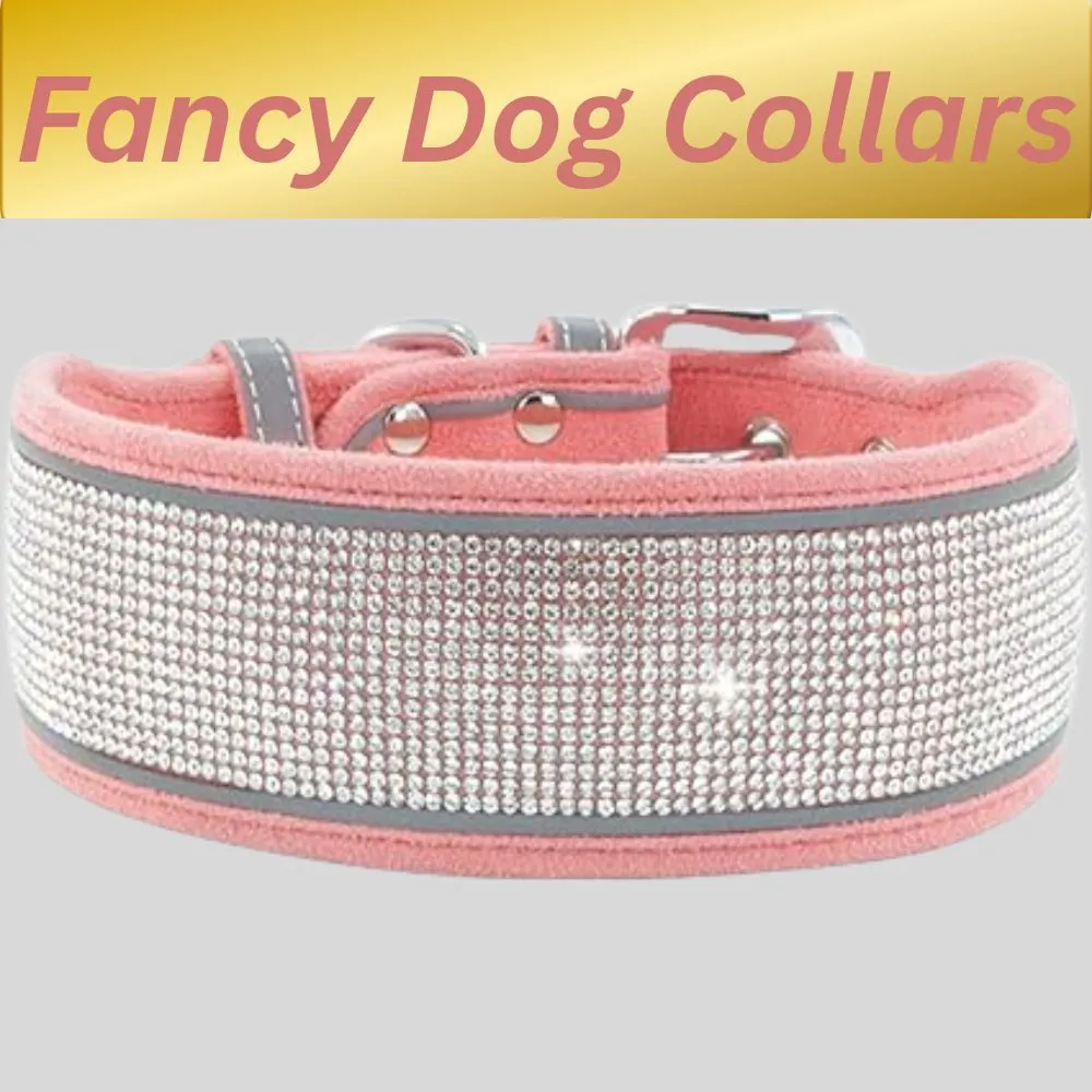 "Pink rhinestone fancy dog collar with crystal embellishments and soft padding"