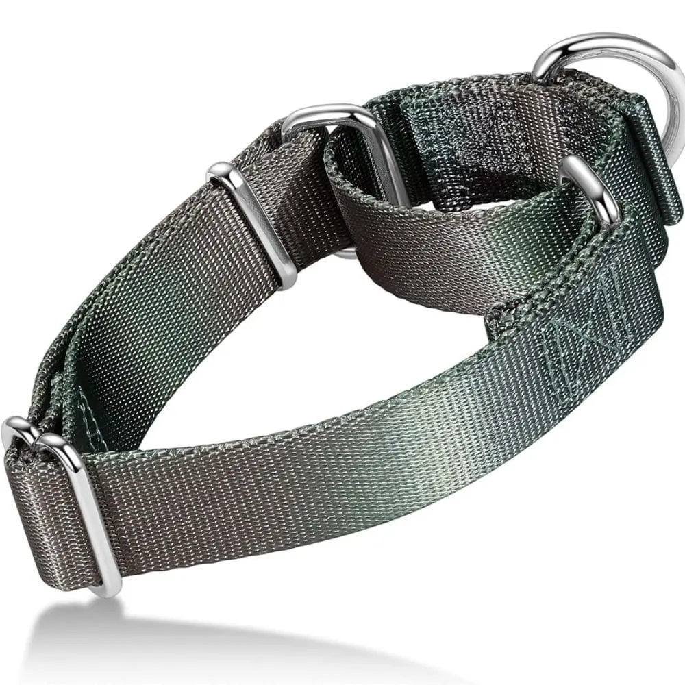 "Camouflage martingale dog collar with metal rings and adjustable nylon webbing in green and gray pattern"