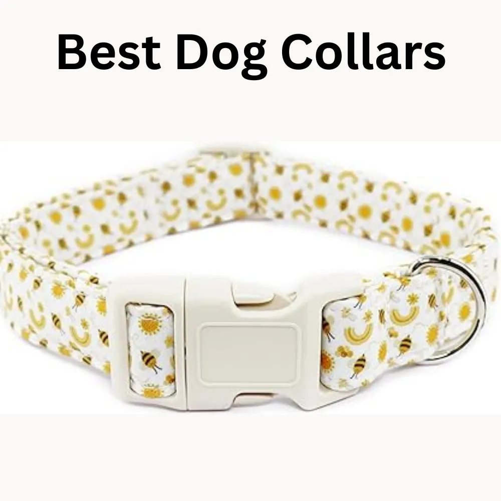 White dog collar with yellow daisy and bee pattern