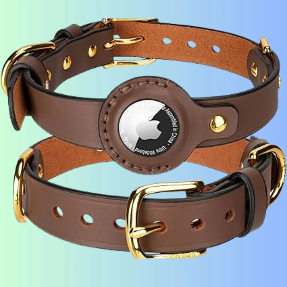 Brown leather dog collar with gold hardware and built-in AirTag holder case