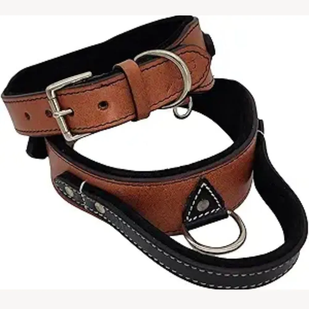 "Brown leather dog collar with soft padding and matching leash set for large dogs with metal buckle"