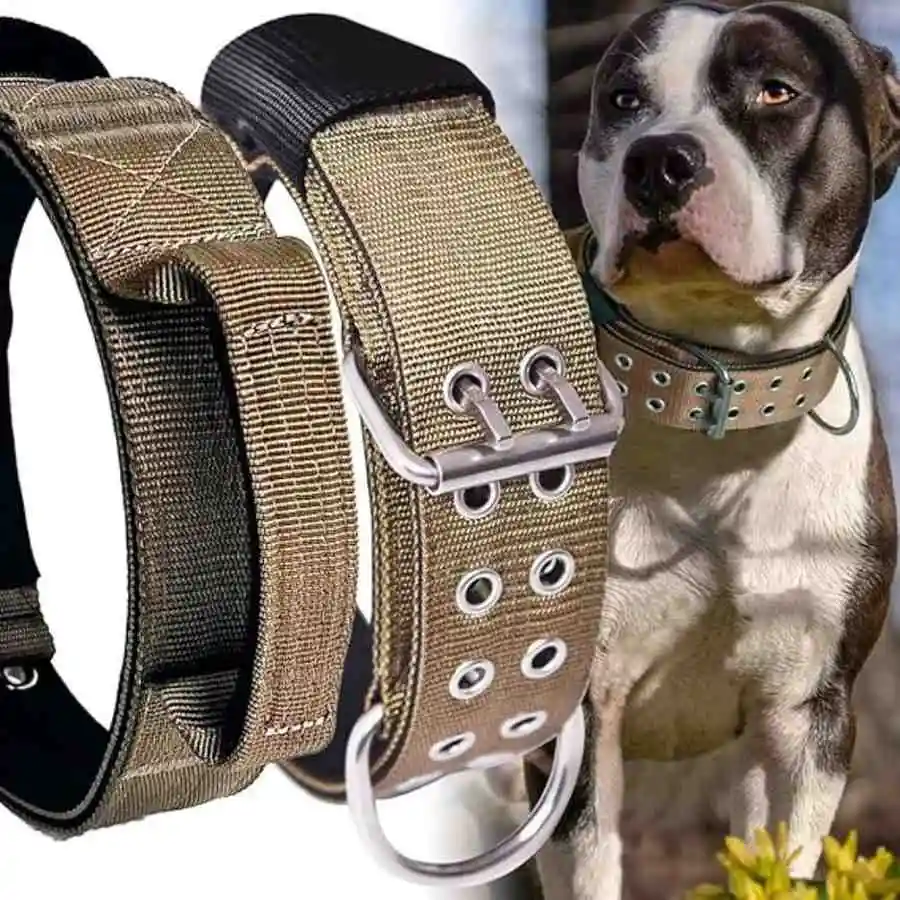 "Heavy-duty tactical dog collar for large dogs with metal buckle and control handle, shown on Pit Bull"