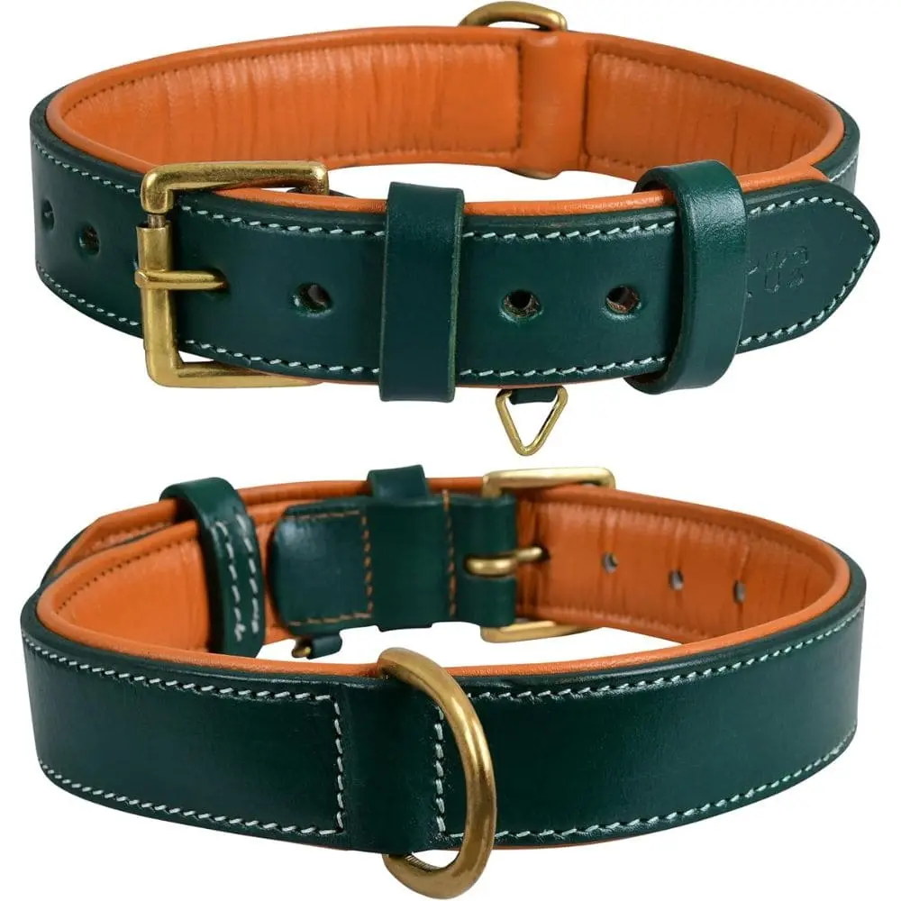 Image Alt Text: "Forest green leather dog collar with tan padding and brass hardware shown from front and back views"