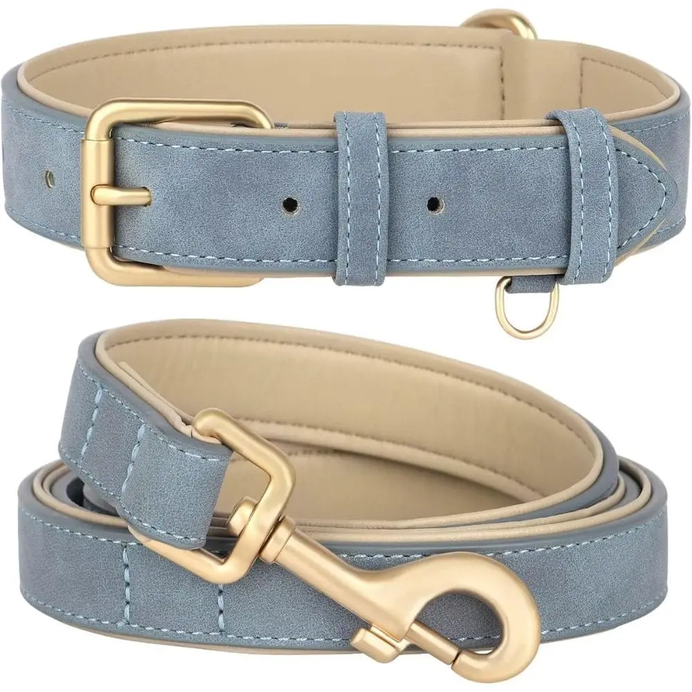 "Powder blue leather dog collar and leash set with gold hardware and cream padding"