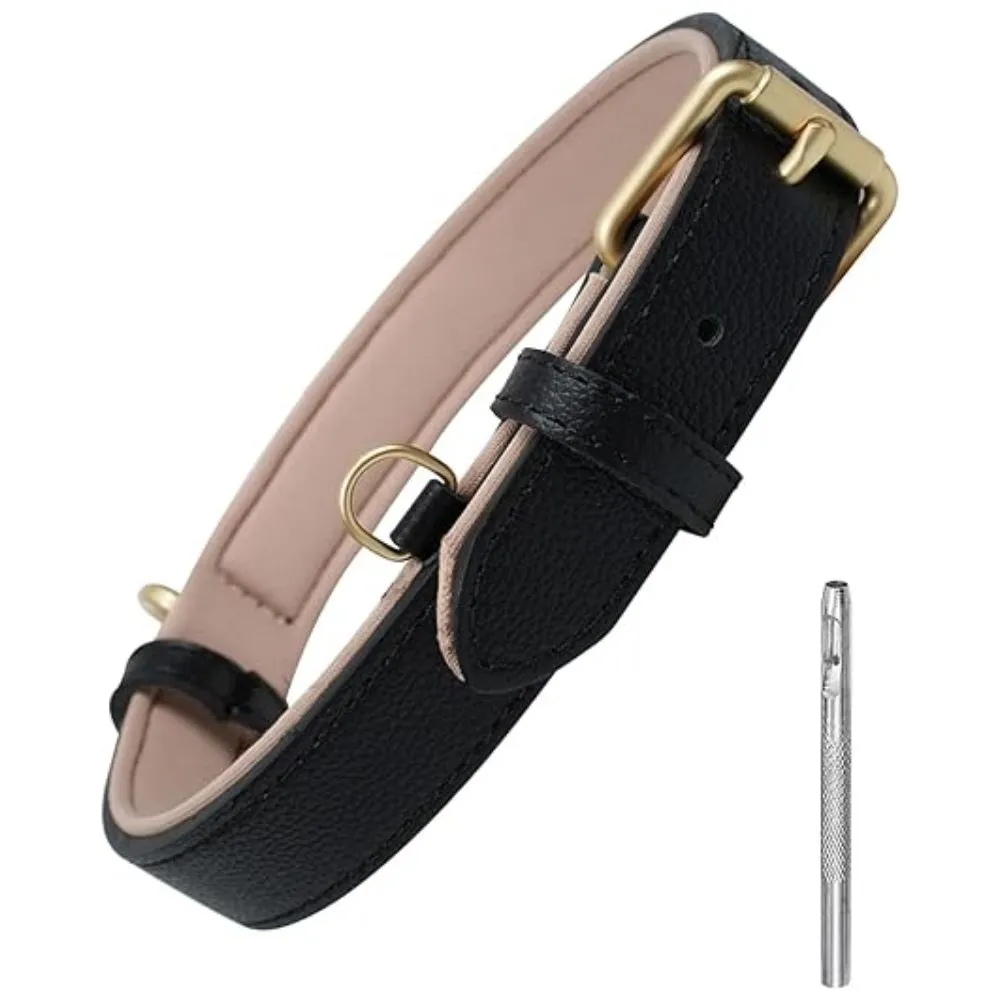 Padded leather dog collar in black and tan with brass buckle and adjustment tool