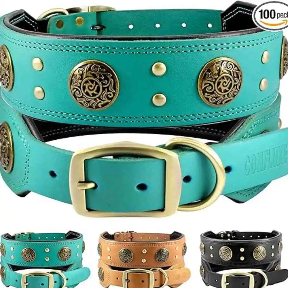 Wide leather dog collars with ornate brass medallions and studs, available in turquoise, tan, and black"