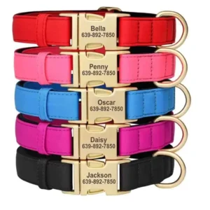 Custom Dog Collar with Personalized Pet ID Name Plate, Waterproof Nylon for Small and Medium Dogs (Chihuahua, Pug)