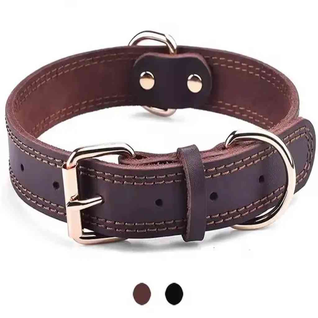 Large Breed Dog Collar in Genuine Leather with Heavy-Duty Buckle and Double D-Ring for Medium & Large Dogs