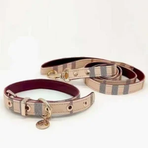 Pet Collar and Leash Set Leather for Medium and Large Dogs – Adjustable, Stylish Black and White Stripe Design