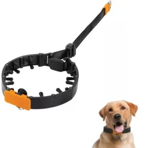 Dog Prong Collar for No-Pull Training, Adjustable Pinch Collar with Quick-Release Buckle for Large Dogs