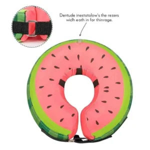 Dog Cone Collar for Small & Large Dogs – Adjustable and Comfortable Watermelon Design Recovery Collar