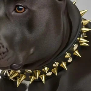 Spiked Dog Collar and Leash Set, Rivet Leather Adjustable Dog Collar for Outdoor Walking (Black Gold)